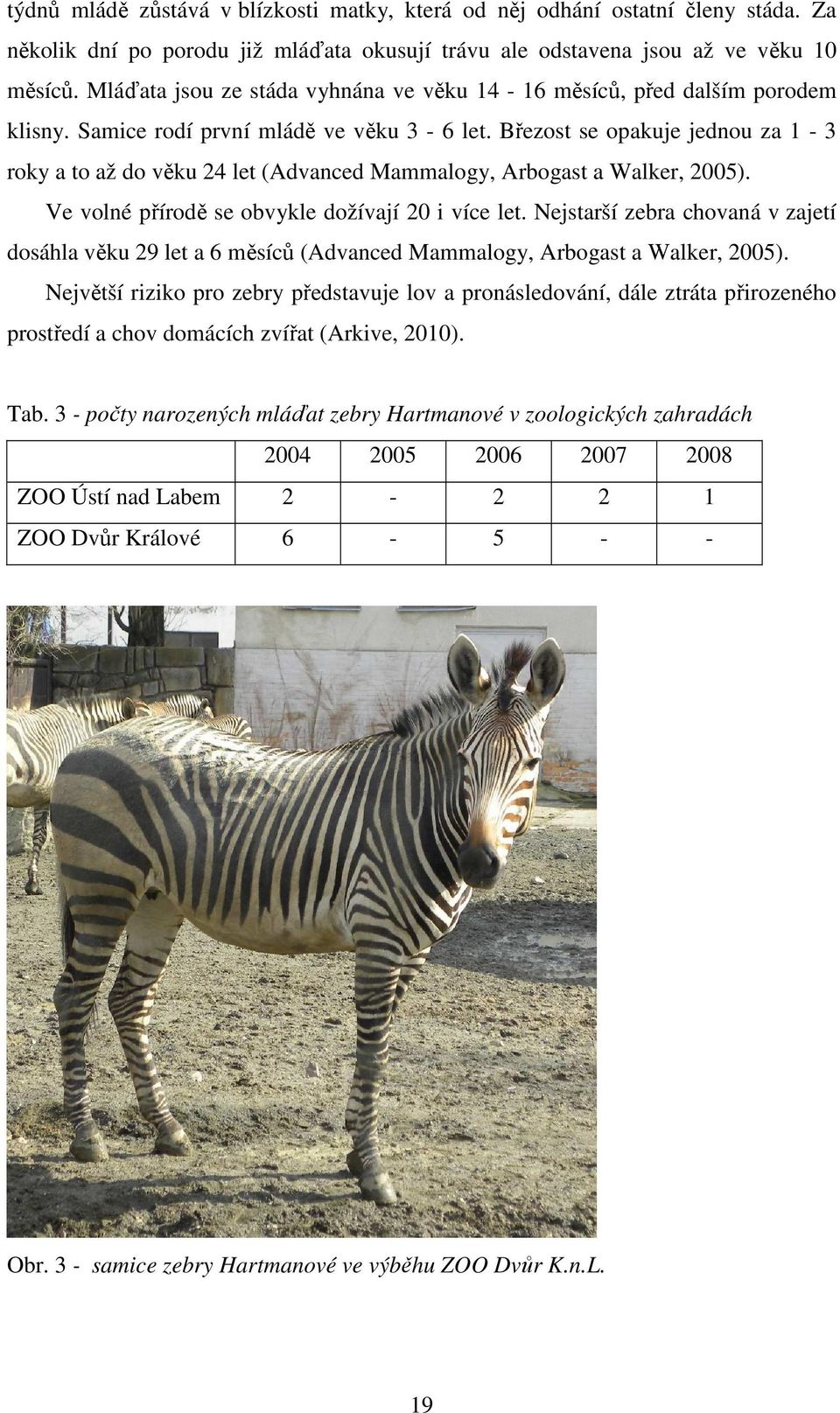 Březost se opakuje jednou za 1-3 roky a to až do věku 24 let (Advanced Mammalogy, Arbogast a Walker, 2005). Ve volné přírodě se obvykle dožívají 20 i více let.