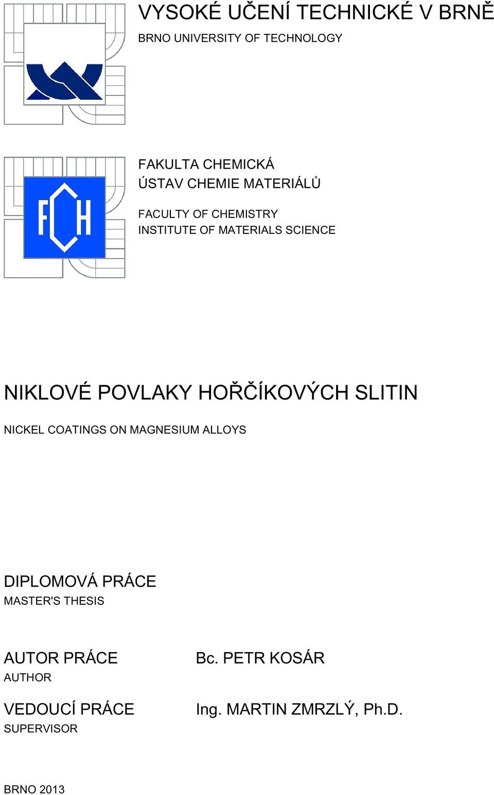 HOŘČÍKOVÝCH SLITIN NICKEL COATINGS ON MAGNESIUM ALLOYS DIPLOMOVÁ PRÁCE MASTER'S THESIS