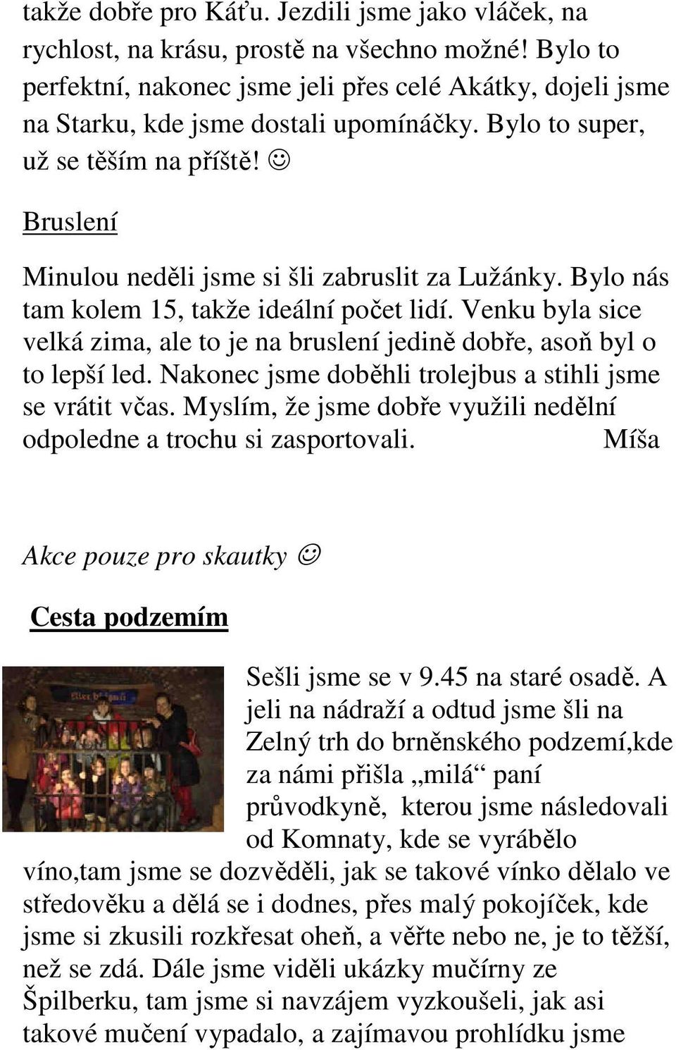 Bruslení Minulou neděli jsme si šli zabruslit za Lužánky. Bylo nás tam kolem 15, takže ideální počet lidí. Venku byla sice velká zima, ale to je na bruslení jedině dobře, asoň byl o to lepší led.