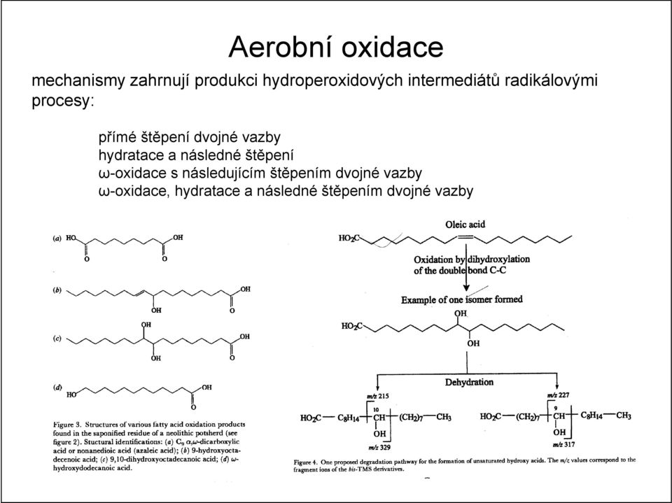 hydratace a následné štěpení ω-oxidace s následujícím štěpením