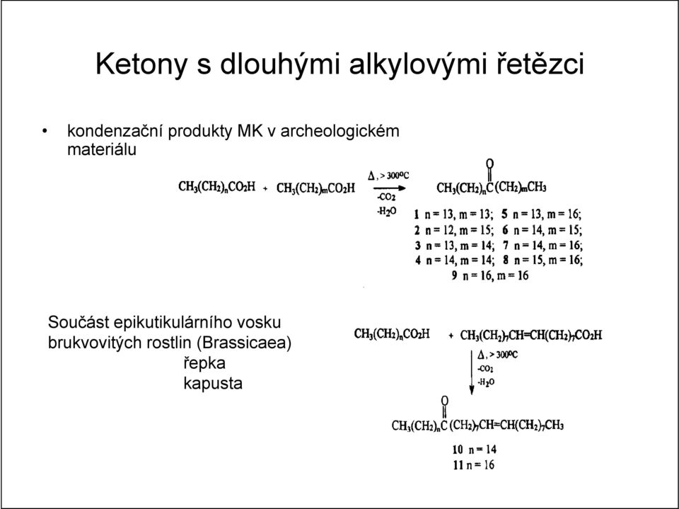 materiálu Součást epikutikulárního vosku