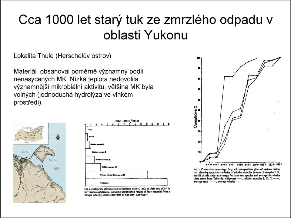 významný podíl nenasycených MK.