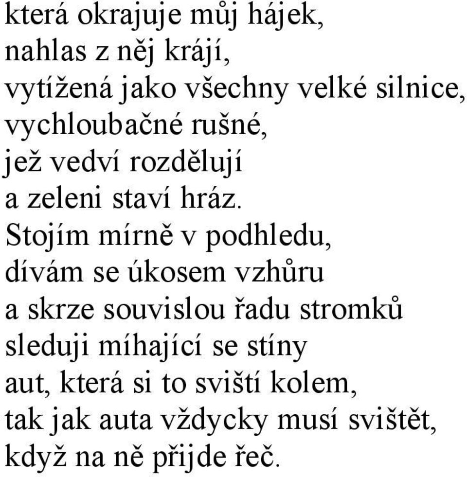 Stojím mírně v podhledu, dívám se úkosem vzhůru a skrze souvislou řadu stromků