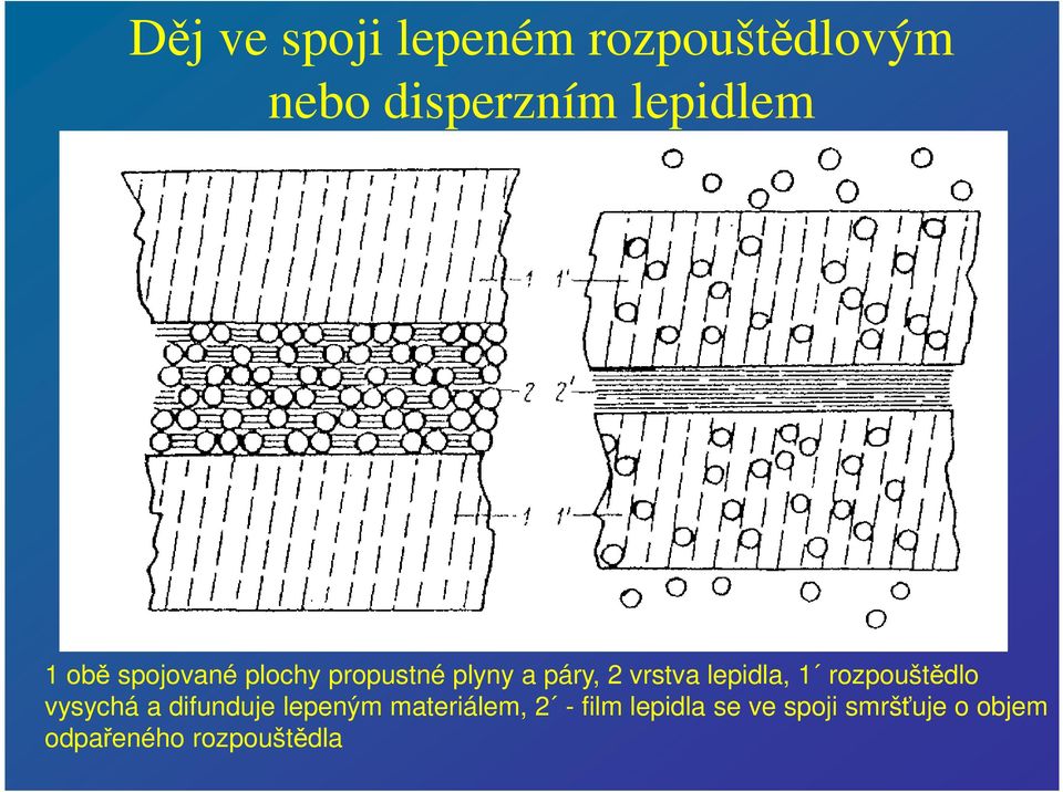 lepidla, 1 rozpouštědlo vysychá a difunduje lepeným