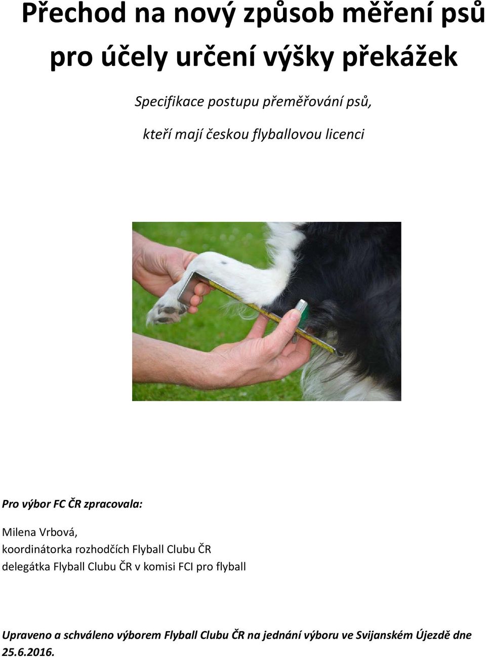 Vrbová, koordinátorka rozhodčích Flyball Clubu ČR delegátka Flyball Clubu ČR v komisi FCI pro