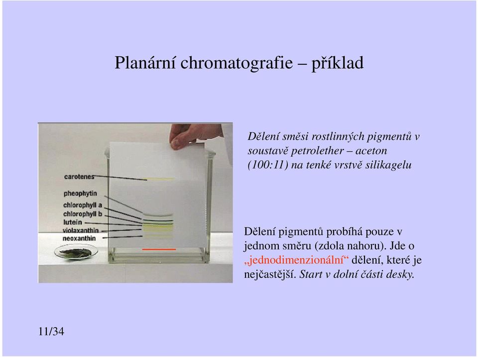 Dělení pigmentů probíhá pouze v jednom směru (zdola nahoru).