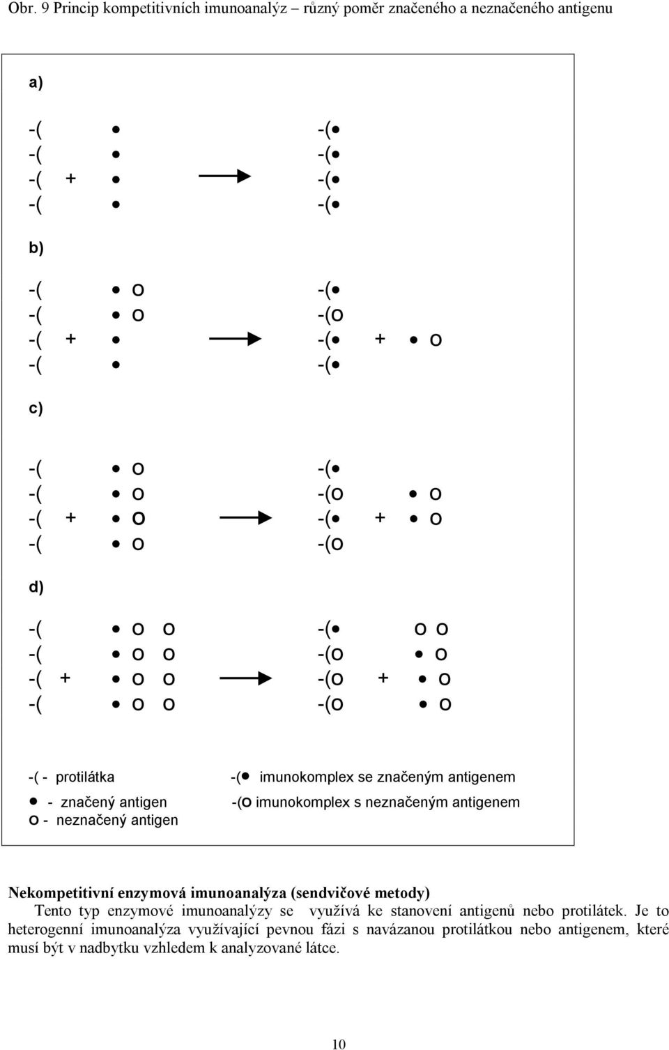 imunokomplex s neznačeným antigenem O - neznačený antigen Nekompetitivní enzymová imunoanalýza (sendvičové metody) Tento typ enzymové imunoanalýzy se využívá ke stanovení