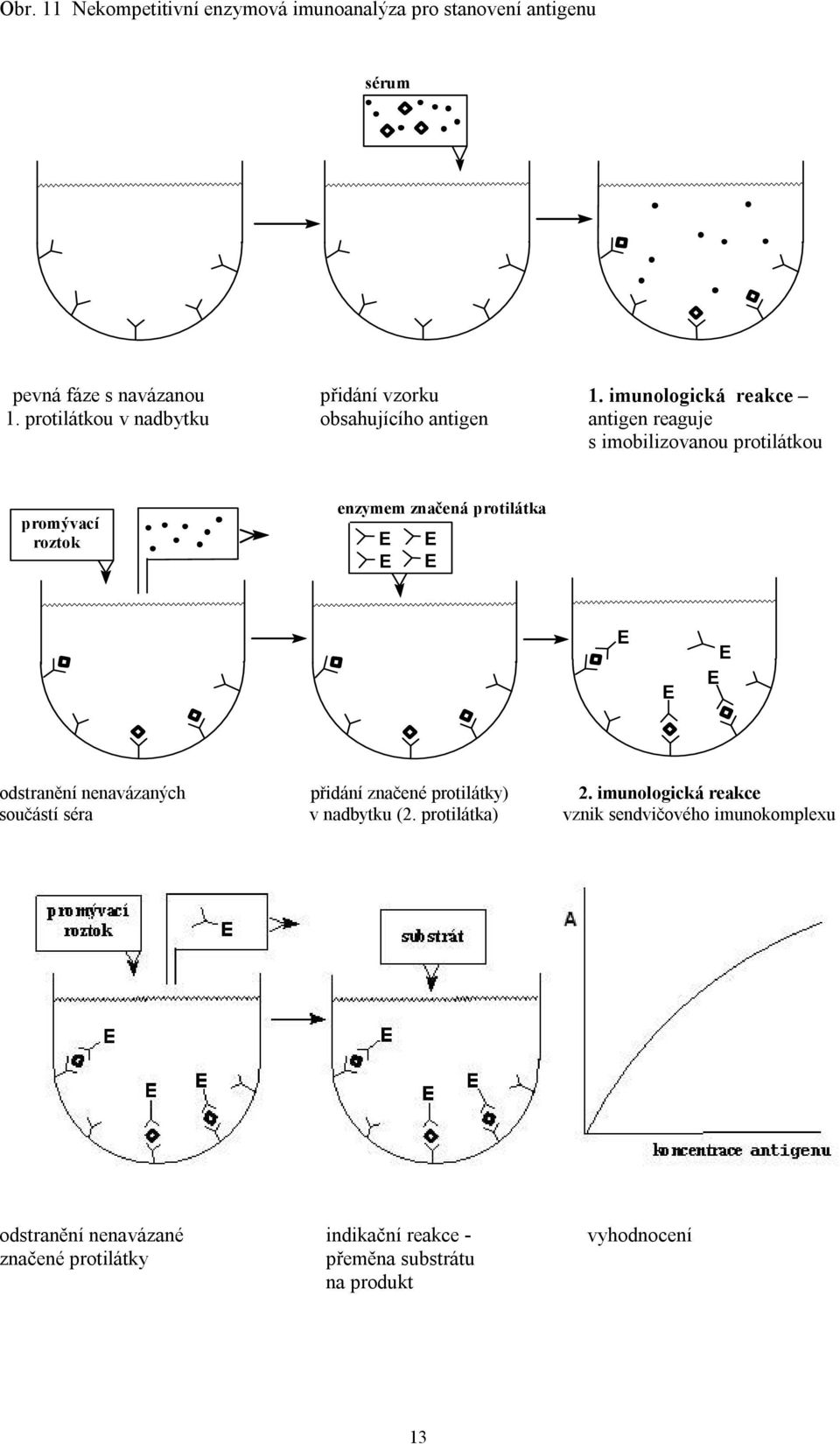 imunologická reakce antigen reaguje s imobilizovanou protilátkou promývací roztok enzymem značená protilátka odstranění