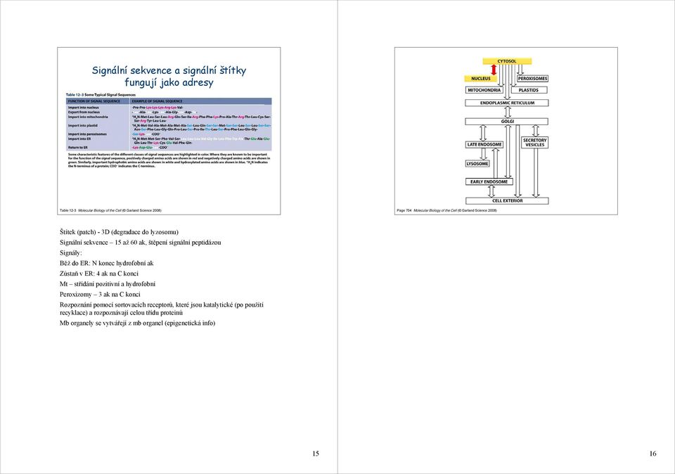 ER: N konec hydrofobní ak Zůstaň v ER: 4 ak na C konci Mt střídání pozitivní a hydrofobní Peroxizomy 3 ak na C konci Rozpoznání pomocí sortovacích