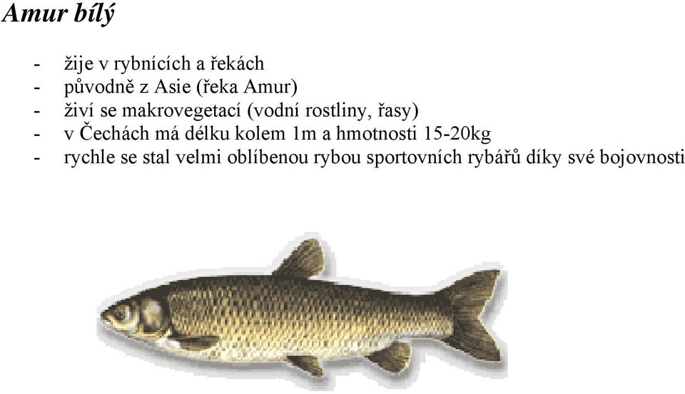 Čechách má délku kolem 1m a hmotnosti 15-20kg - rychle se