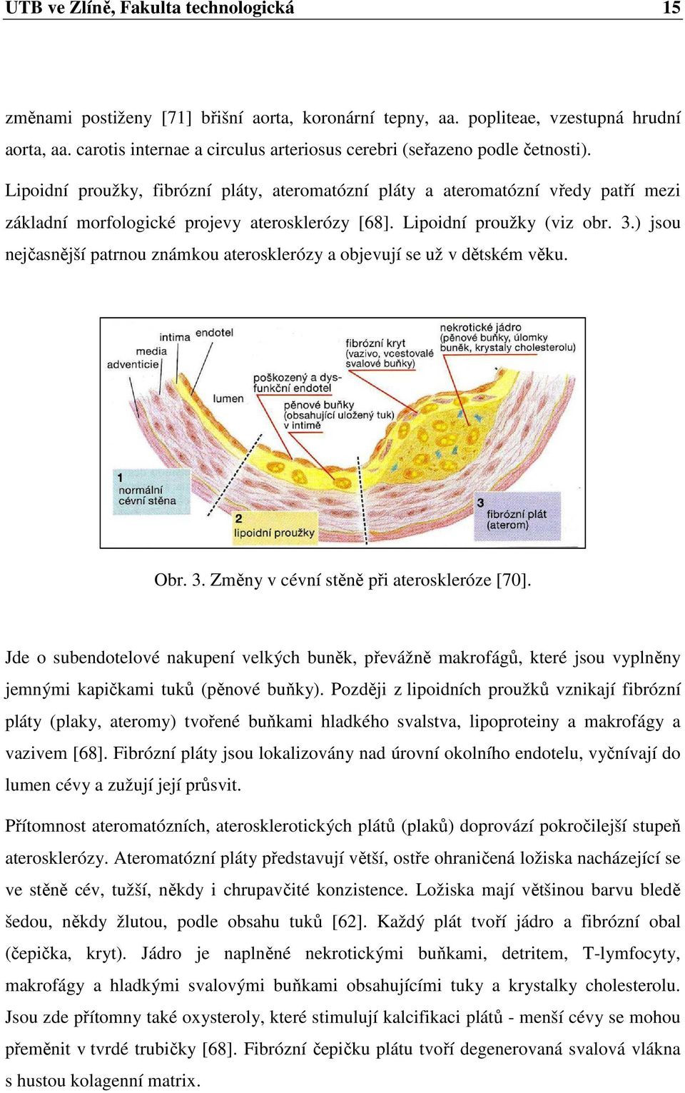 Lipoidní proužky, fibrózní pláty, ateromatózní pláty a ateromatózní vředy patří mezi základní morfologické projevy aterosklerózy [68]. Lipoidní proužky (viz obr. 3.