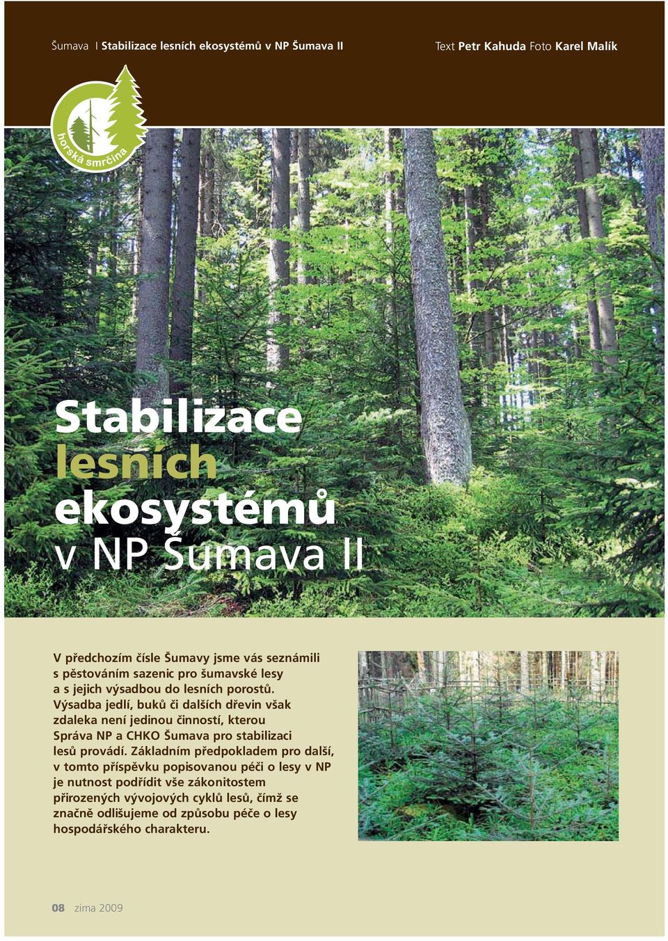 Výsadba jedlí, buků či dalších dřevin však zdaleka není jedinou činností, kterou Správa NP a CHKO Šumava pro stabilizaci lesů provádí.