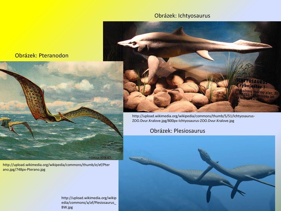 jpg/800px-Ichtyosaurus-ZOO.Dvur.Kralove.jpg Obrázek: Plesiosaurus http://upload.