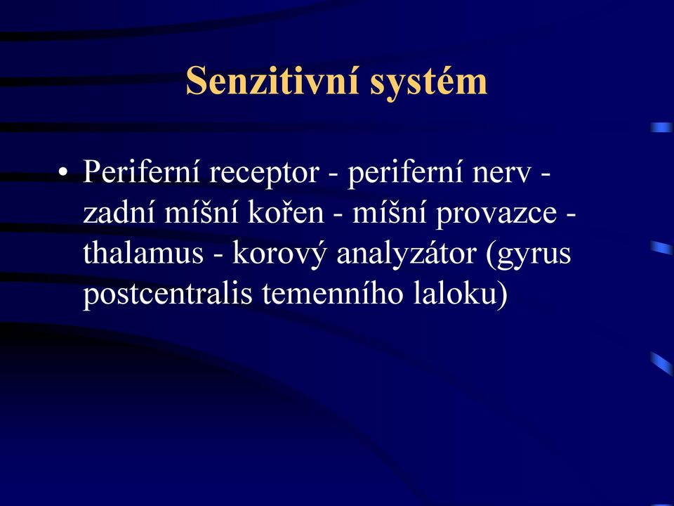 míšní provazce - thalamus - korový