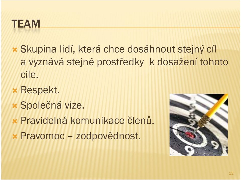 dosažení tohoto cíle. Respekt. Společná vize.