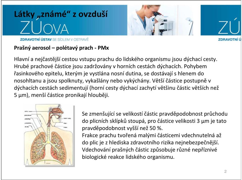 Pohybem řasinkového epitelu, kterým je vystlána nosnídutina, se dostávajís hlenem do nosohltanu a jsou spolknuty, vykašlány nebo vykýchány.