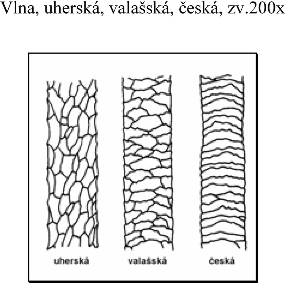 valašská,