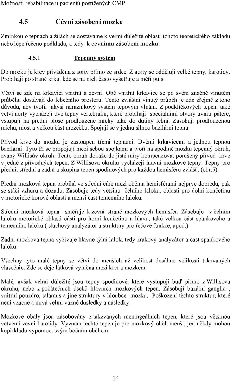 Obě vnitřní krkavice se po svém značně vinutém průběhu dostávají do lebečního prostoru. Tento zvláštní vinutý průběh je zde zřejmě z toho důvodu, aby tvořil jakýsi nárazníkový systém tepovým vlnám.