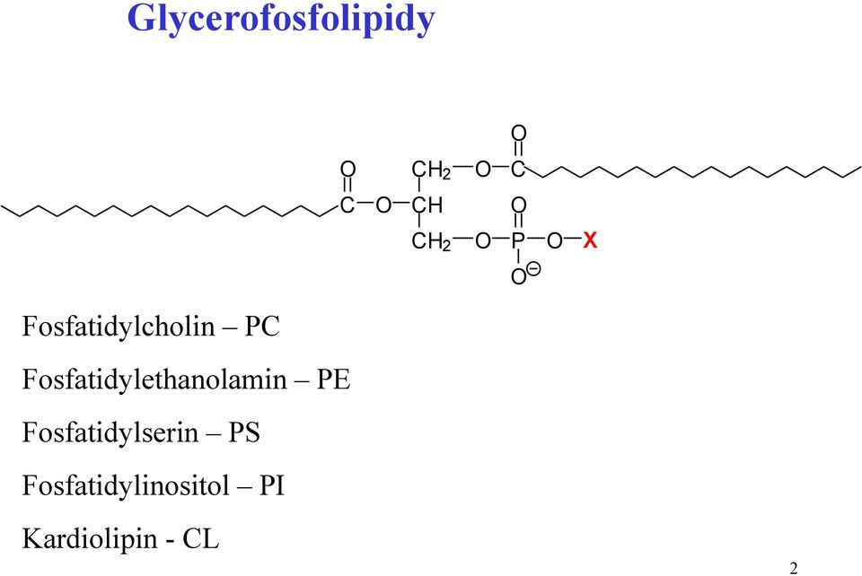 Fosfatidylethanolamin PE Fosfatidylserin