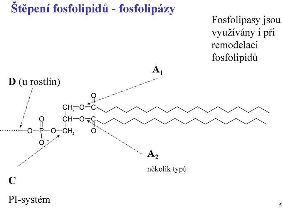 (u rostlin) A 1 O C H 2 O C.