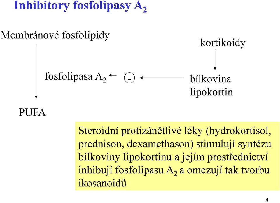(hydrokortisol, prednison, dexamethason) stimulují syntézu bílkoviny