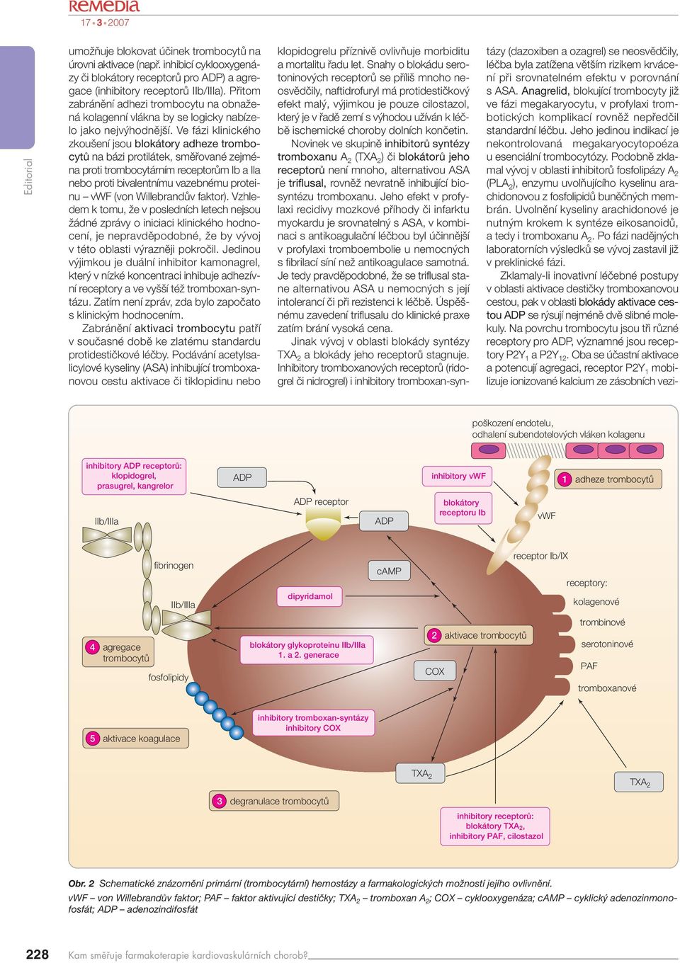 Ve fázi klinického zkou ení jsou blokátory adheze trombocytů na bázi protilátek, smûfiované zejména proti trombocytárním receptorûm Ib a IIa nebo proti bivalentnímu vazebnému proteinu vwf (von