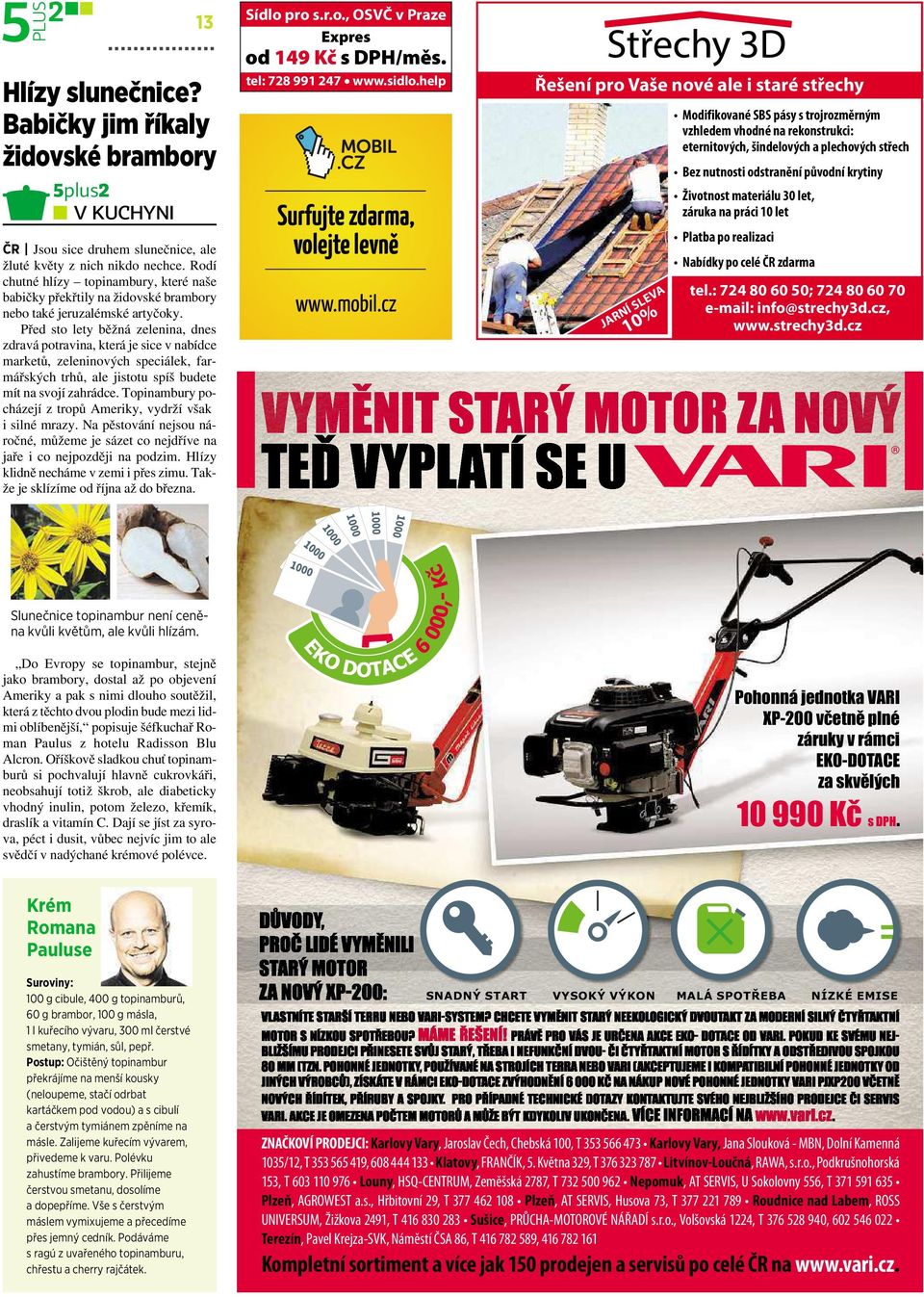 Před sto lety běžná zelenina, dnes zdravá potravina, která je sice v nabídce marketů, zeleninových speciálek, farmářských trhů, ale jistotu spíš budete mít na svojí zahrádce.