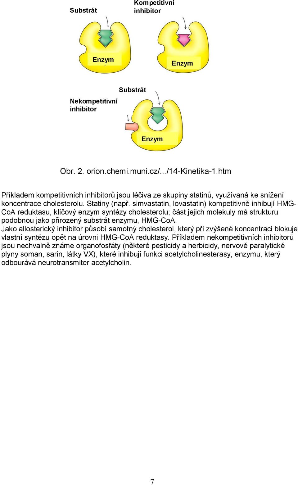 simvastatin, lovastatin) kompetitivně inhibují HMG- CoA reduktasu, klíčový enzym syntézy cholesterolu; část jejich molekuly má strukturu podobnou jako přirozený substrát enzymu, HMG-CoA.