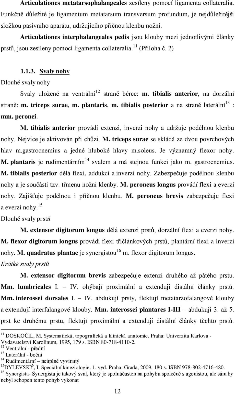 Articulationes interphalangeales pedis jsou klouby mezi jednotlivými články prstů, jsou zesíleny pomocí ligamenta collateralia. 11 (Příloha č. 2) 1.1.3.