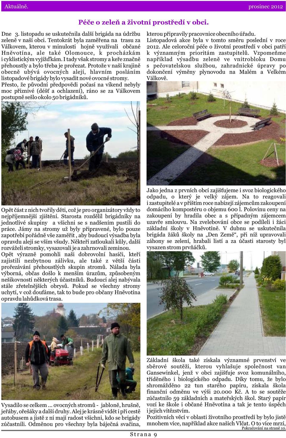 I tady však stromy a keøe znaènì pøehoustly a bylo tøeba je proøezat. Protože v naší krajinì obecnì ubývá ovocných alejí, hlavním posláním listopadové brigády bylo vysadit nové ovocné stromy.