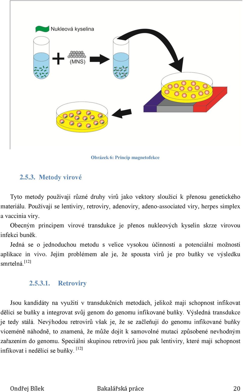 Jedná se o jednoduchou metodu s velice vysokou účinností a potenciální možností aplikace in vivo. Jejím problémem ale je, že spousta virů je pro buňky ve výsledku smrtelná. [12