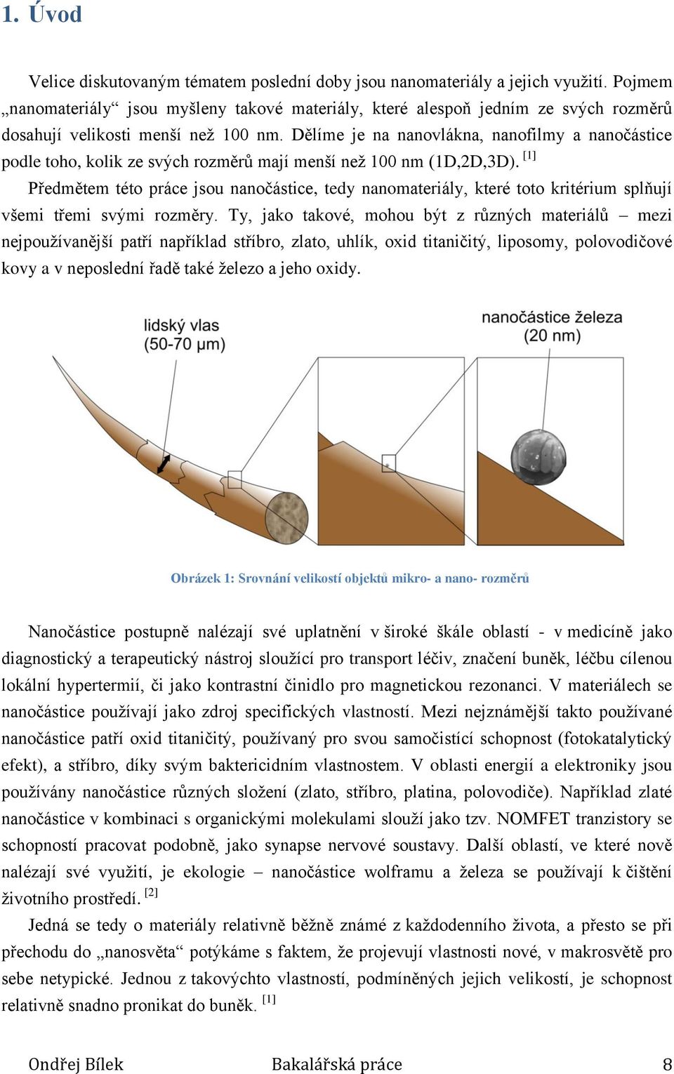 Dělíme je na nanovlákna, nanofilmy a nanočástice podle toho, kolik ze svých rozměrů mají menší než 100 nm (1D,2D,3D).