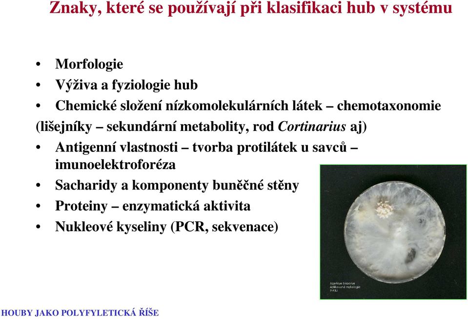 aj) Antigenní vlastnosti tvorba protilátek u savců imunoelektroforéza Sacharidy a komponenty