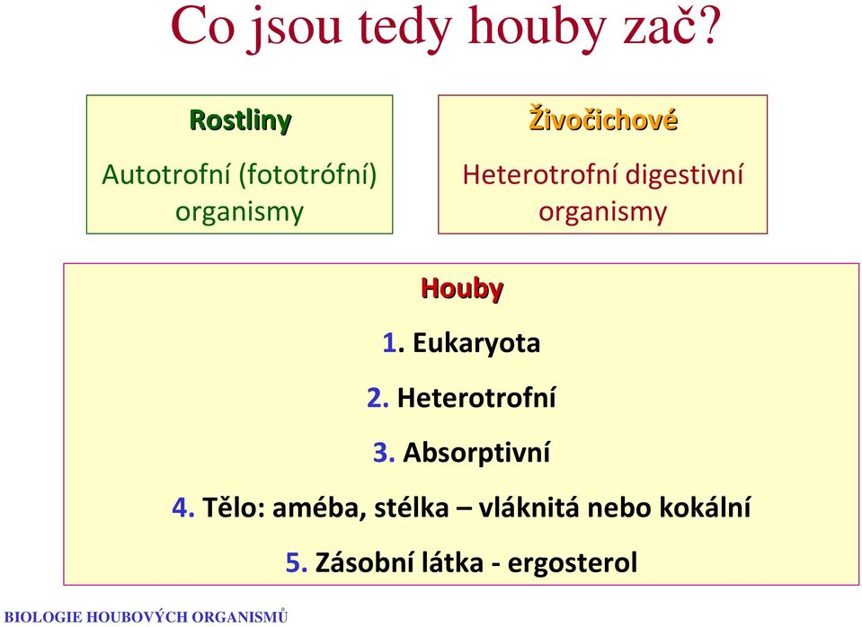 Heterotrofní digestivní organismy Houby 1. Eukaryota 2.