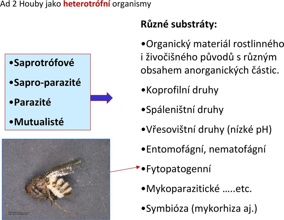 obsahem anorganických částic.