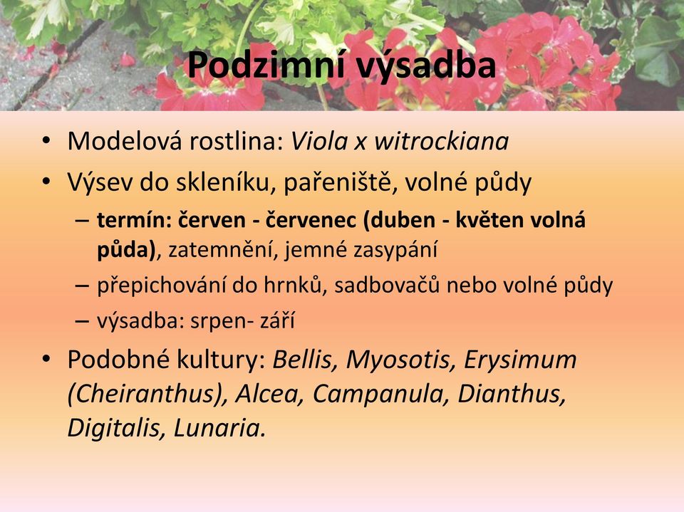 zasypání přepichování do hrnků, sadbovačů nebo volné půdy výsadba: srpen- září Podobné