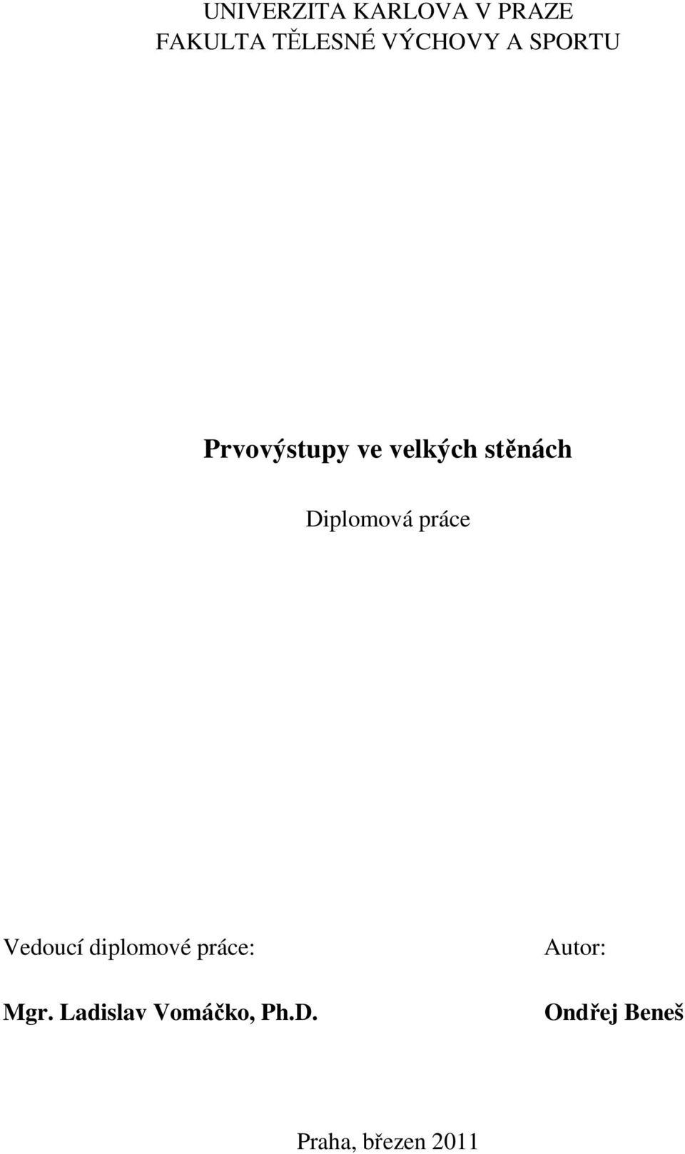 Diplomová práce Vedoucí diplomové práce: Mgr.