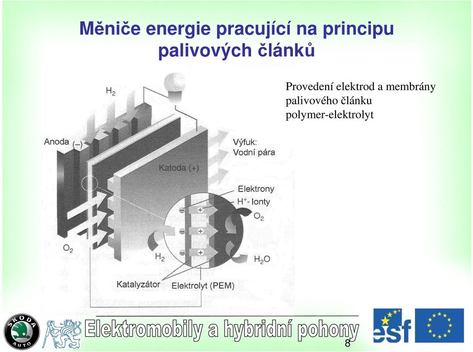 elektrod a membrány