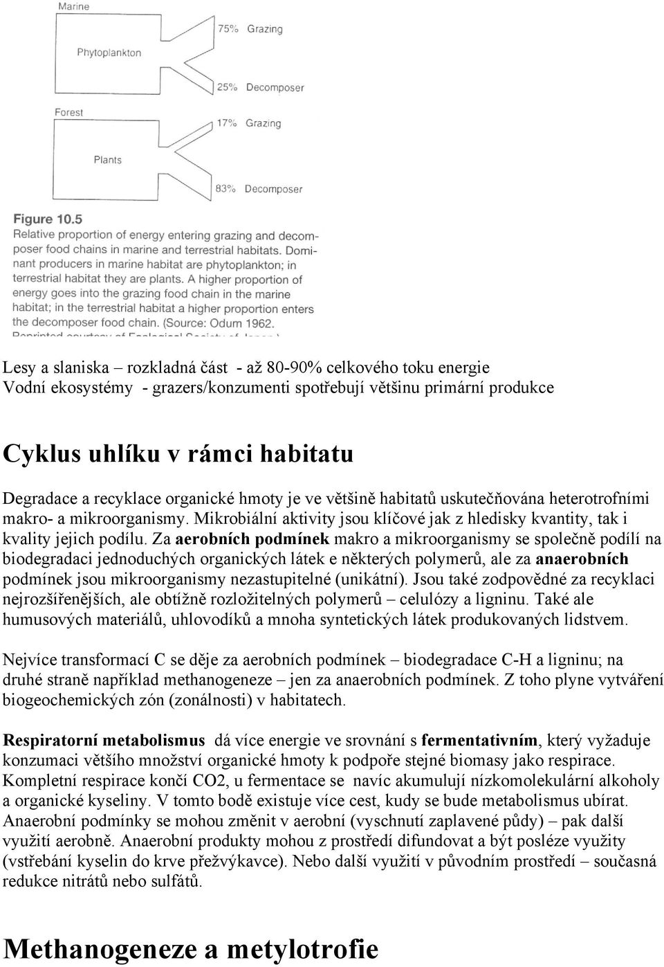 Za aerobních podmínek makro a mikroorganismy se společně podílí na biodegradaci jednoduchých organických látek e některých polymerů, ale za anaerobních podmínek jsou mikroorganismy nezastupitelné