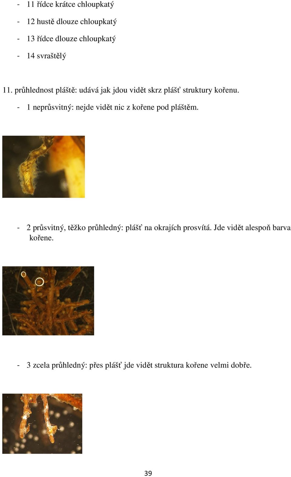 - 1 neprůsvitný: nejde vidět nic z kořene pod pláštěm.