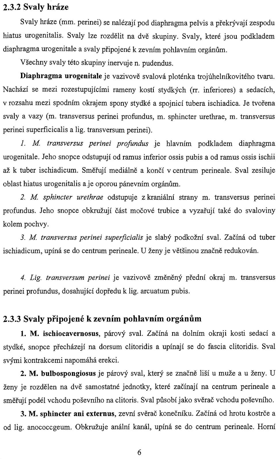 Diaphragma urogenitale je vazivově svalová ploténka trojúhelníkovitého tvaru. Nachází se mezi rozestupujícími rameny kostí stydkých (rr.