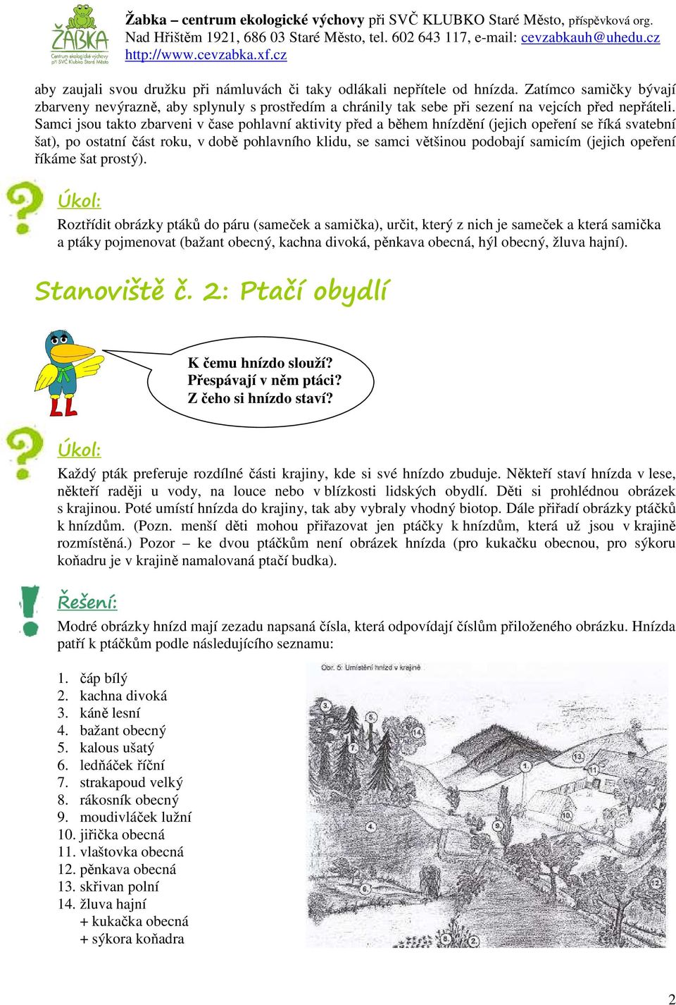 Samci jsou takto zbarveni v čase pohlavní aktivity před a během hnízdění (jejich opeření se říká svatební šat), po ostatní část roku, v době pohlavního klidu, se samci většinou podobají samicím