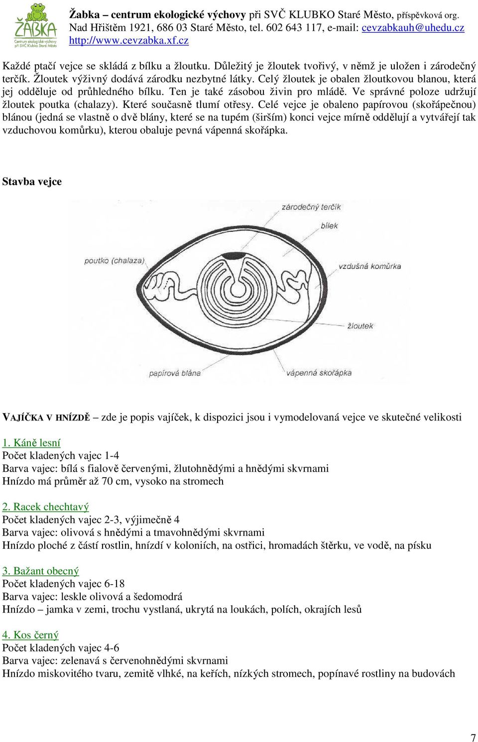 Celé vejce je obaleno papírovou (skořápečnou) blánou (jedná se vlastně o dvě blány, které se na tupém (širším) konci vejce mírně oddělují a vytvářejí tak vzduchovou komůrku), kterou obaluje pevná