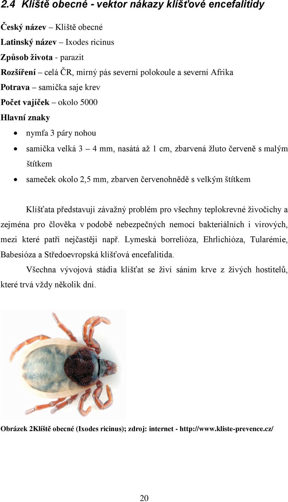 červenohnědě s velkým štítkem Klíšťata představují závažný problém pro všechny teplokrevné živočichy a zejména pro člověka v podobě nebezpečných nemocí bakteriálních i virových, mezi které patří