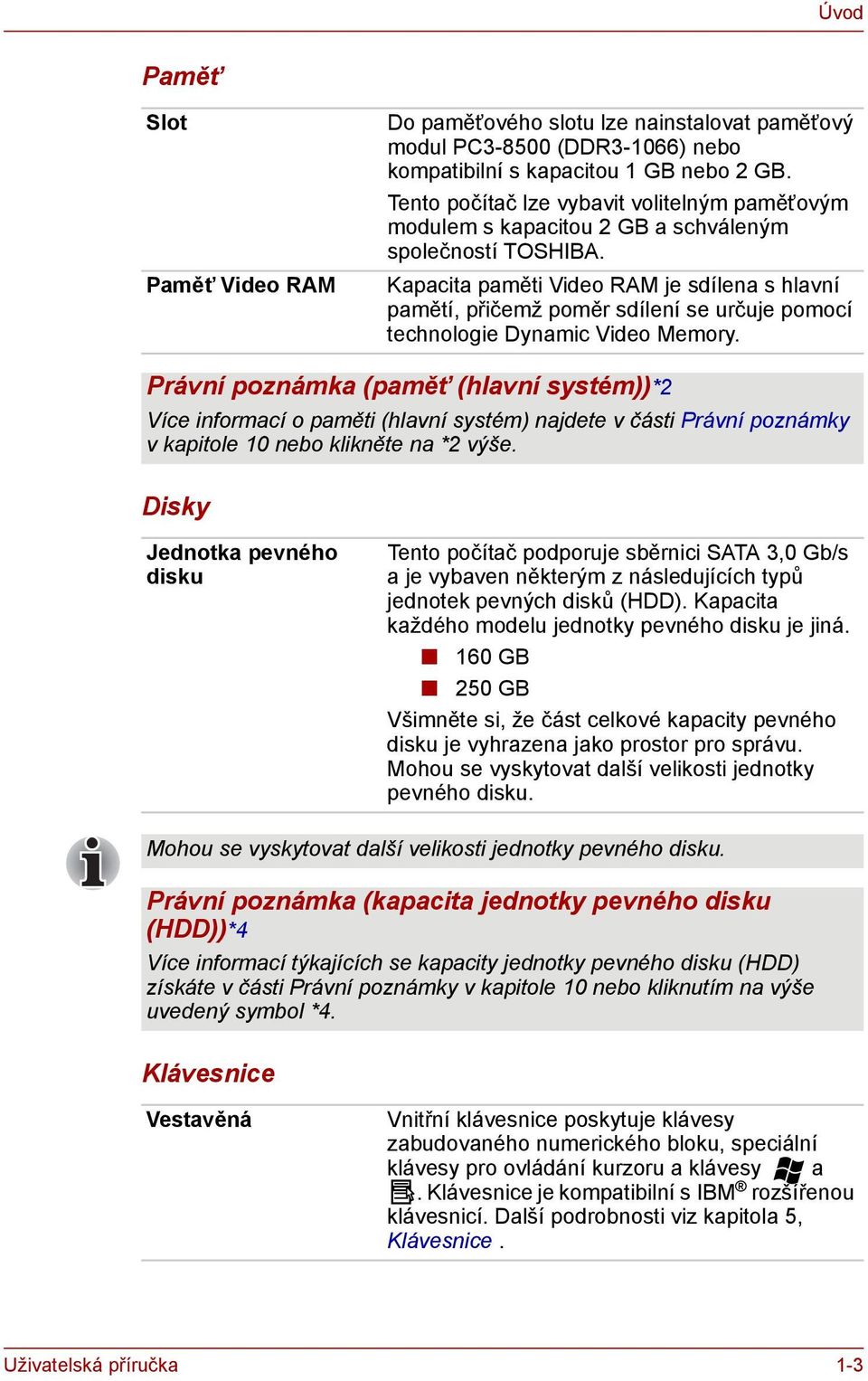 Kapacita paměti Video RAM je sdílena s hlavní pamětí, přičemž poměr sdílení se určuje pomocí technologie Dynamic Video Memory.