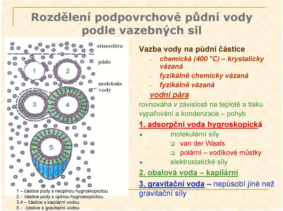 vázaná fyzikálně vázaná vodní pára rovnováha v závislosti na teplotě a tlaku vypařování a kondenzace pohyb 1.