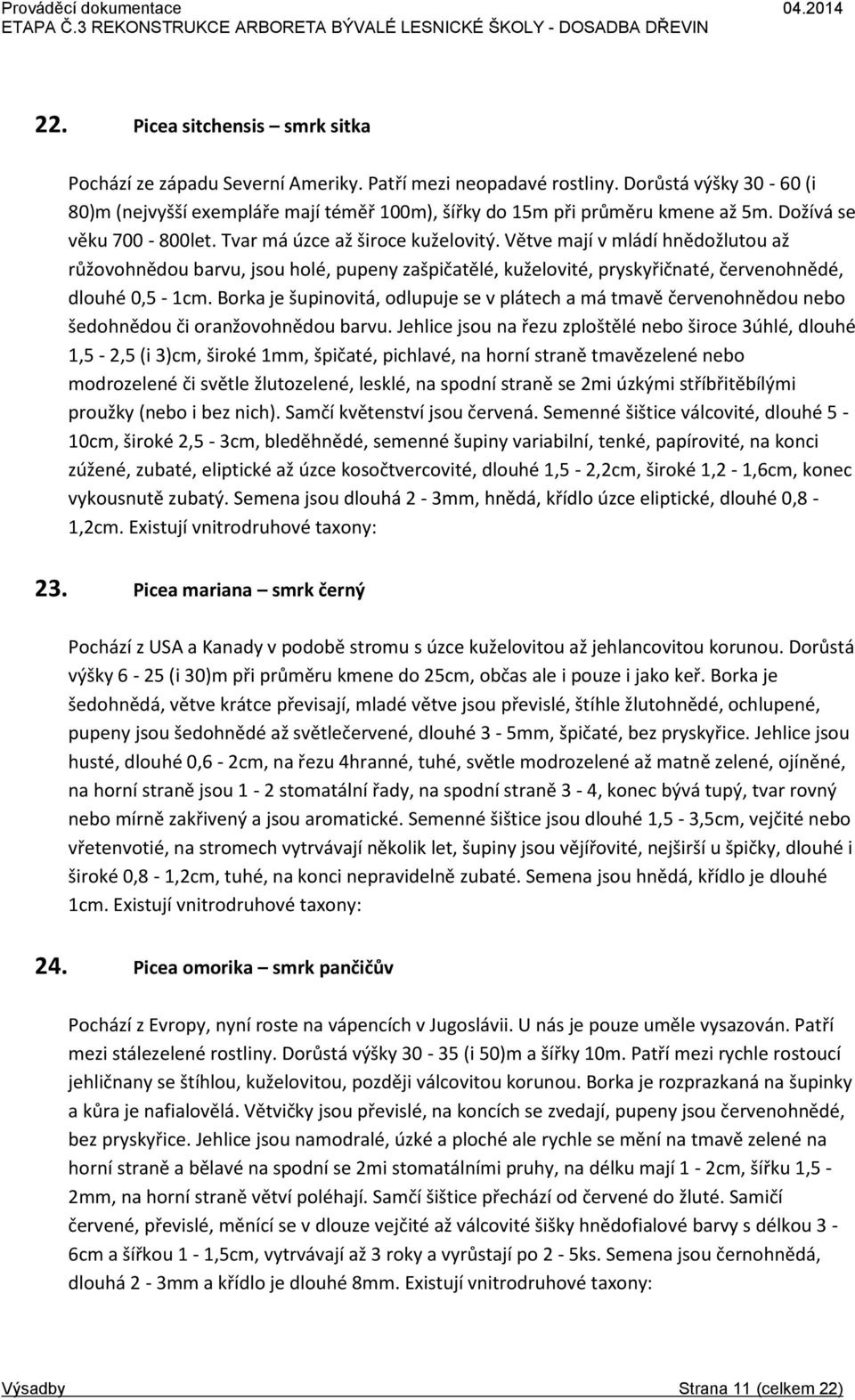 Větve mají v mládí hnědožlutou až růžovohnědou barvu, jsou holé, pupeny zašpičatělé, kuželovité, pryskyřičnaté, červenohnědé, dlouhé 0,5-1cm.