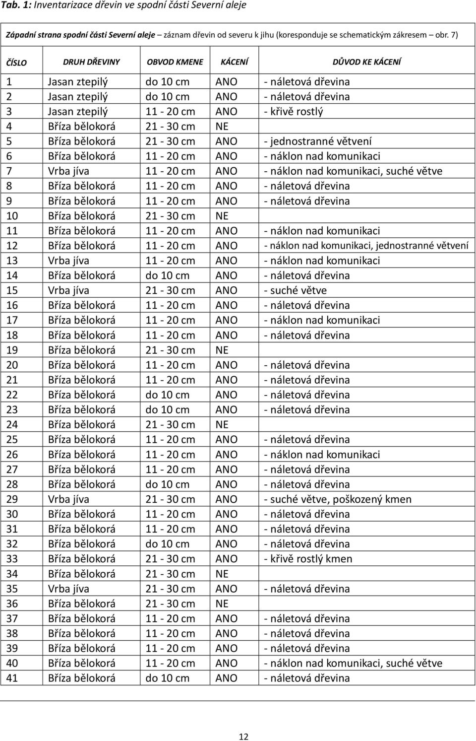 Bříza bělokorá 21-30 cm NE 5 Bříza bělokorá 21-30 cm ANO - jednostranné větvení 6 Bříza bělokorá 11-20 cm ANO - náklon nad komunikaci 7 Vrba jíva 11-20 cm ANO - náklon nad komunikaci, suché větve 8