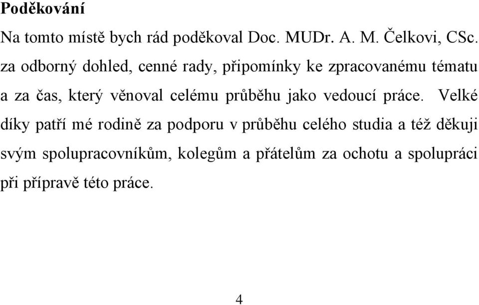 celému průběhu jako vedoucí práce.