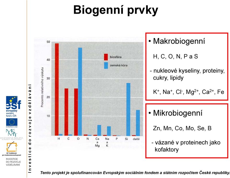 Na +, Cl -, Mg 2+, Ca 2+, Fe Mikrobiogenní Zn,